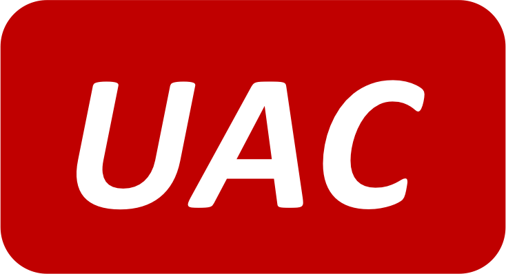 UNITED AUTO CO PTE LTD